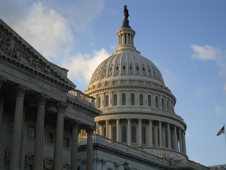 Congress Washington DC United States Capitol
