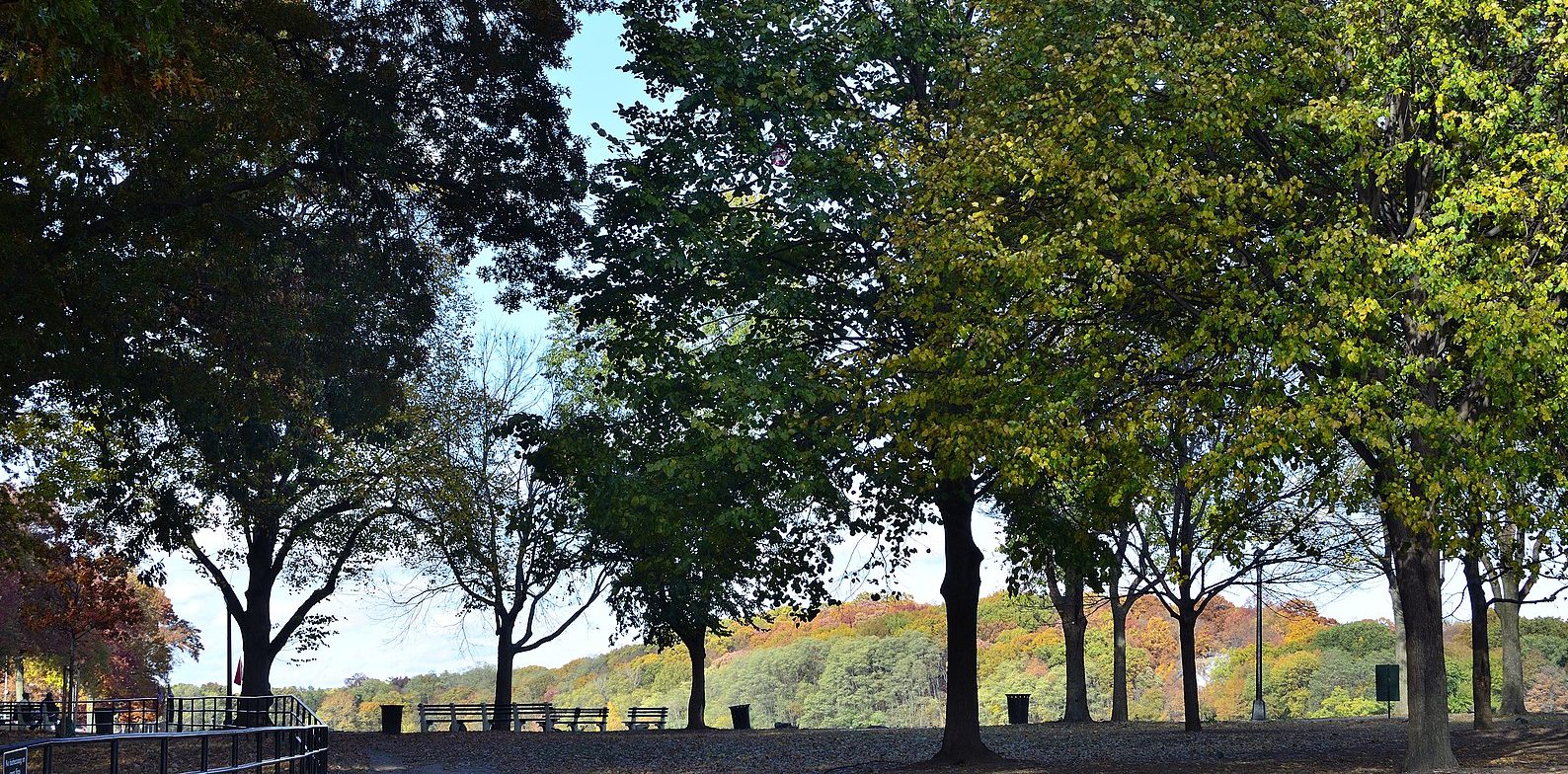 Van Cortlandt Park in the Bronx