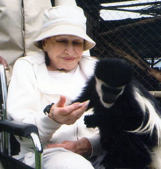Joyce Matz with a black-and-white Colobus monkey in an African preserve.