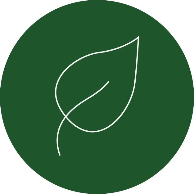 environment icon