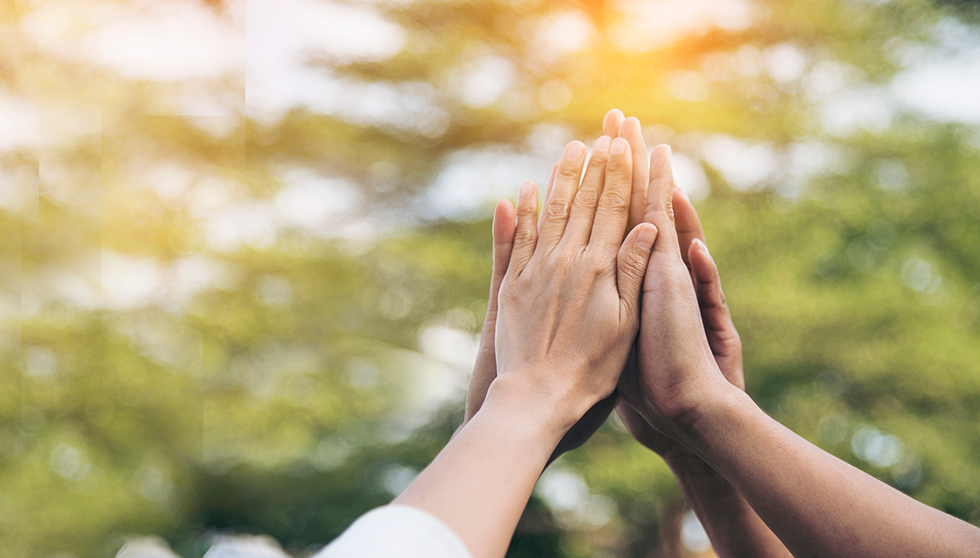 Team does a high five together with hands raise up. Greenery and warm light in the background as they are outdoors.