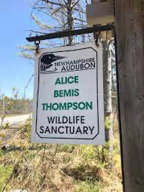 A sign outside in a natural area that says, "New Hampshire Audubon, Alice Bemis Thompson Wildlife Sanctuary."