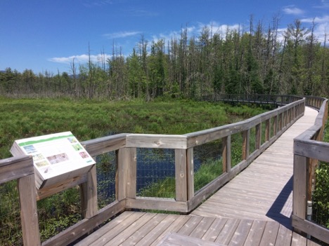 Alice Bemis Thompson Wildlife Sanctuary, NH Audubon with lush trees, greenery and a wooden bridge over water.