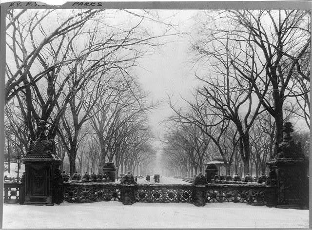Vintage shot of Central Park and its barren trees during the winter.