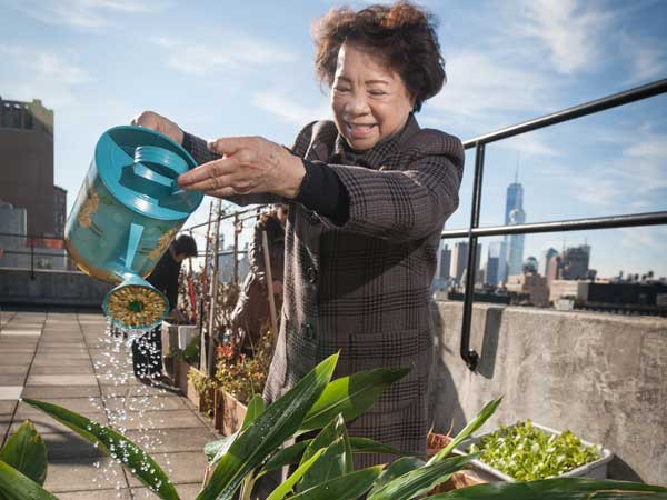 An older woman on a NYC rooftop watering plants