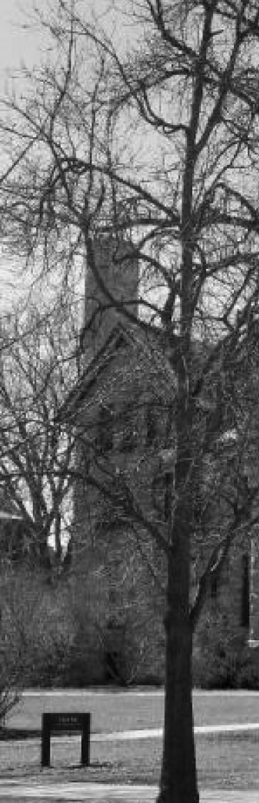 A winter's day at Talcott Hall, a women’s dormitory at Oberlin College, built in 1887. Bare trees are in front of the building.