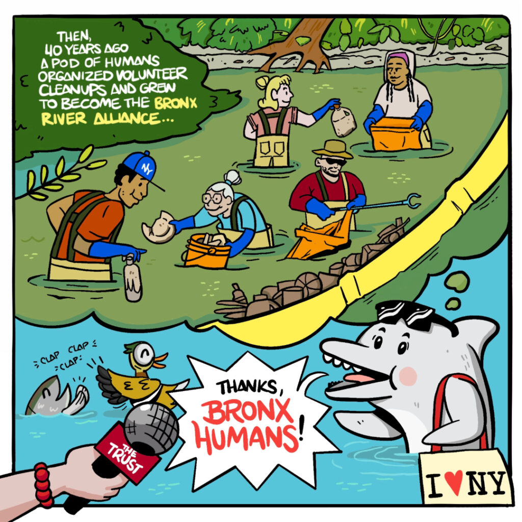 Comic strip of cartoon dolphin thanking humans for forming the Bronx River Alliance to clean up the Bronx River.